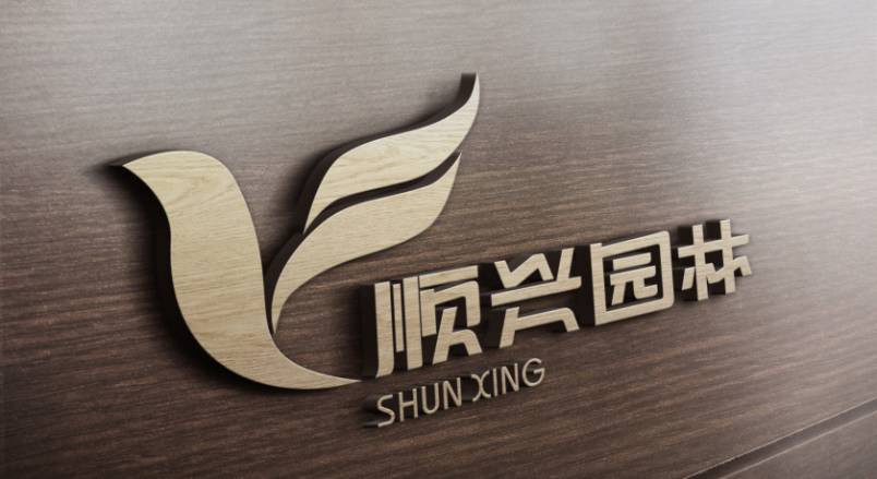 团风县VI设计公司：城市视觉形象的专业筑梦者